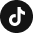 TikTok Icon